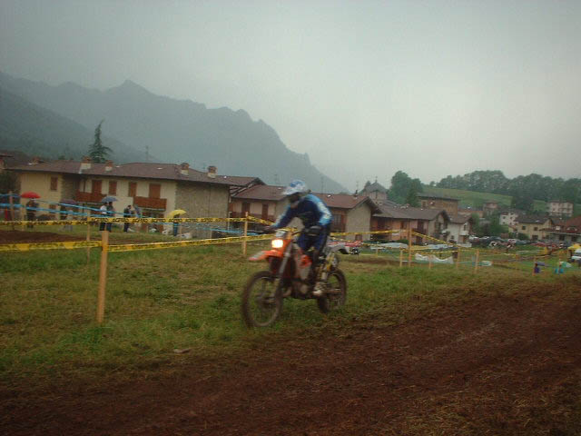 81