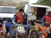 bosio8