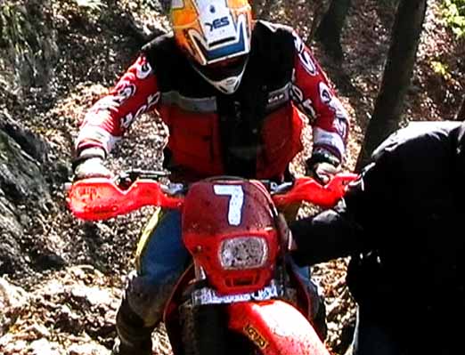 domenico