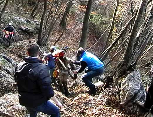 picci
